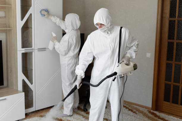 Best Attic Mold Removal  in Chamberlain, SD